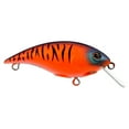 thumbnail image 2 of Berkley Shallow Money Badger Fishing Crankbait, 1.5 in, Hybrid Baitfish-Crayfish, 2 of 6