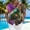 D_ Multicolor, variant on YLSDY Mens Hawaiian Shirts Short Sleeve Funny Shirts Beach Shirts for Men,Button Down Hawaiian Shirt for Men Multicolor XXXXXL
