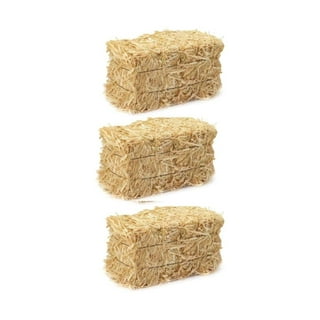 Meyer Imports Mini Hay Bales - Small - (Pack of 3) Small Decorative Hay –  for Craft/Dollhouse/Farm/Halloween/Table Decoration - 2.5 x 1 Inches Each