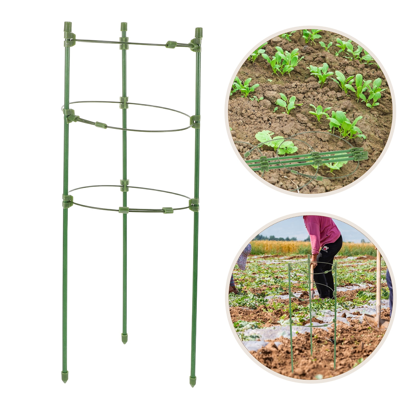 Dayesque 2-Pack Adjustable Plant Support Cages with Tomato Stakes for Garden, Balcony, Backyard, Flower Pots, Bonsai, Climbing Vines