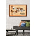 thumbnail image 4 of NFL Cincinnati Bengals - Retro Logo 14 Wall Poster, 22.375" x 34", 4 of 5