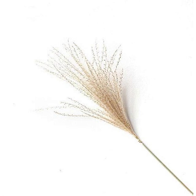 KAIYANG 100 piezas de Lagurus ovatus secas naturales, decoración con flores de hierba de la pampa seca