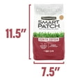 Pennington Smart Patch Zoysia Grass Seed, for Full Sun, 5 lb. New Bag