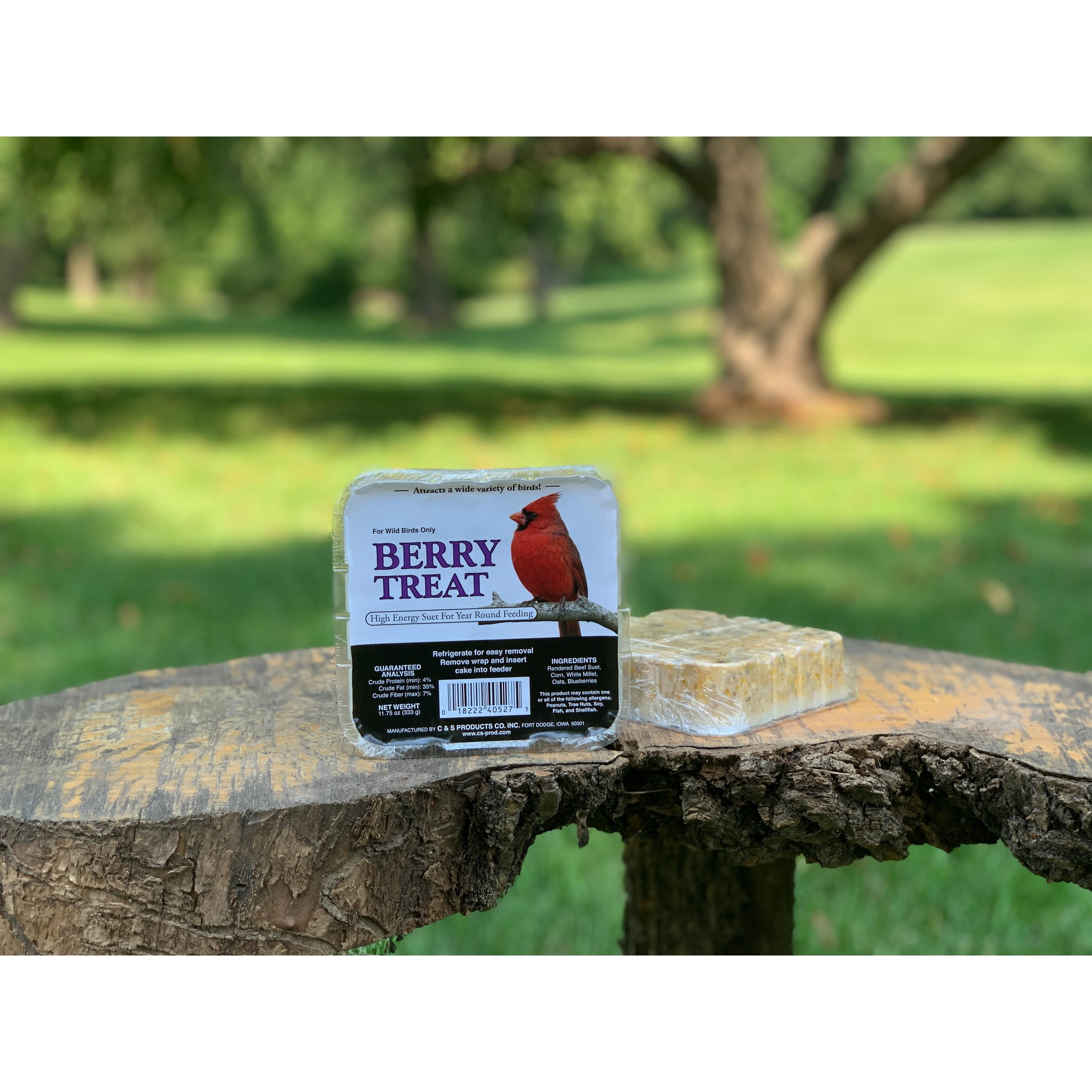C&S Berry Treat Suet, 11.75 oz Cake, Fresh Wild Bird Food