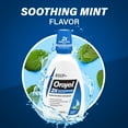 thumbnail image 6 of (5 pack) Orajel Antiseptic Mouth Sore Rinse for Canker Sores & Gum Irritation, Kills Bacteria, Mint, 16 oz, 6 of 14