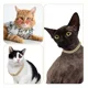 thumbnail image 5 of Cadena Para Perro, Collar Cubano Con Forma De Diamante, Cade, 5 of 6