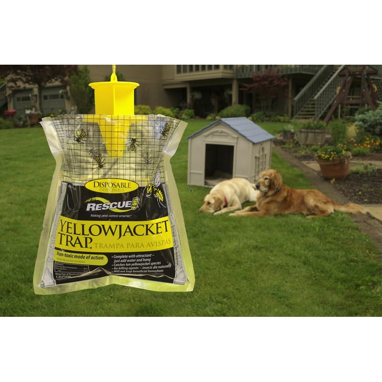 Raid Disposable Yellow Jacket, Wasp Hornet Trap On Vimeo, 40% OFF