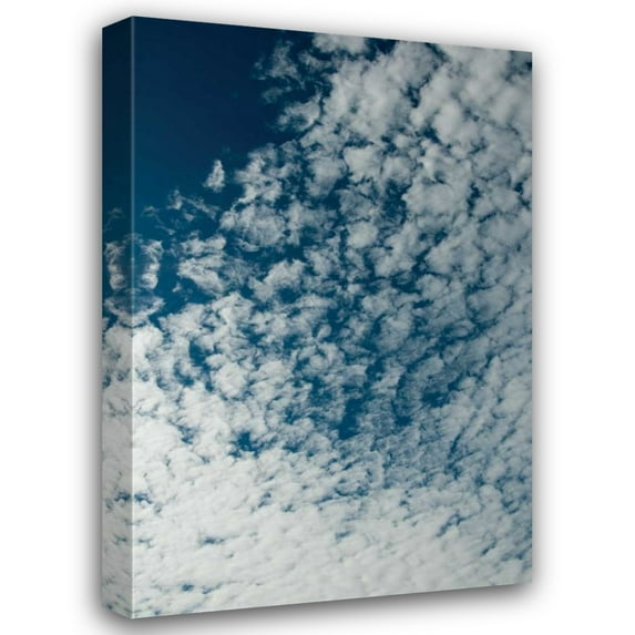 Erin Berzel 23x32 Gallery Wrapped Canvas Wall Art Titled - In the Clouds II