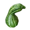 thumbnail image 4 of Calabaza Artificial/calabaza de espuma/calabaza de simulación artesanal DIY/calabaza decorativa de para fiesta estante de decoración de Verde largo, 4 of 8
