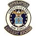 thumbnail image 3 of EagleEmblems P62977 PIN-DEST.Storm,USAF,Logo (1-1/16''), 3 of 3