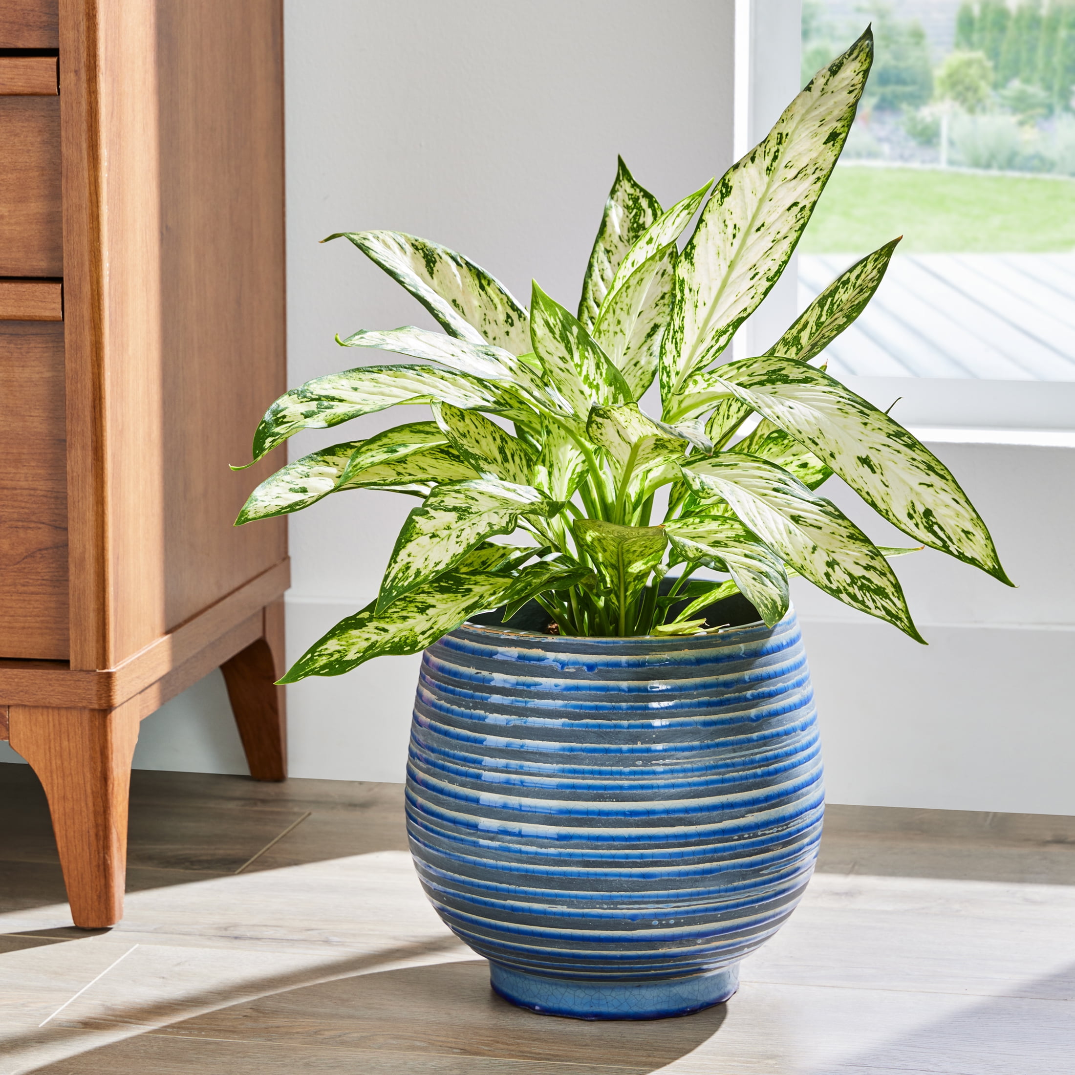 Better Homes & Gardens 10 inch Ceramic Lynlee Planter, Blue