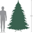 thumbnail image 5 of Northlight Real Touch™️Pre-Lit Pencil Northwood Noble Fir Artificial Christmas Tree - 7.5' - Clear, 5 of 7