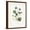 Brown Frame, variant on Art.com Sweet Violets Stretched Canvas Print Wall Art by Gwendolyn Babbitt, 24" x 32"