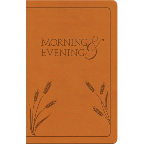 Morning and Evening: New International Version (Other)