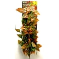 thumbnail image 2 of Penn-Plax REP421 24 in. Reptile Vine, Green & Brown, 2 of 3
