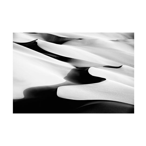 Canvas Wall Art - Mohammadreza Momeni 'Dance' Wall Art for Living Room, Bedroom, or Office Décor by Trademark Fine Art - 19 x 12 Inches