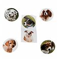 thumbnail image 2 of Fun Express - Dog Stickers - Stationery - Stickers - Stickers - Roll - 1 Piece, 2 of 3
