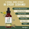 thumbnail image 2 of MaryRuth's Alcohol-Free Herbal Tincture Drops with Claw Bark, Organic Ginger Root, and Organic Licorice, Unisex, 1 fl oz, 2 of 10