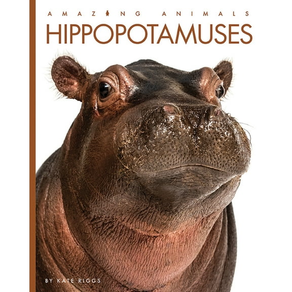 Hippopotamuses, (Paperback)