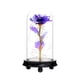 thumbnail image 1 of Xihbxyly Rosa de Cristal Romántica, Elegante Luz Led, Vidrio de Borosilicato Alto, Base de Madera, Ideal para Decorar Mesas o Dormitorios, Regalo de San Valentín o Aniversario, 11,5 X 21,5 Cm., 1 of 2
