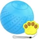 thumbnail image 1 of Interactive Dog Toys Ball, 360 Automatic Rolling Dog Chew Throw Balls with Remote & 2 Modes LED Light, Pet Electric Ball Toys, 1 of 5