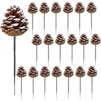 Topboutique 20 PCS Pinecones Snow Christmas Pine Cones 2 inch Pine Cones with 7inch Wired Pick for Christmas Tree, Pine Cones Decorations Home Holiday Party,Christmas Tree Decoration