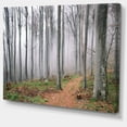 thumbnail image 2 of Thick Woods in Morning Forest - Modern Forest Canvas Art, 2 of 4