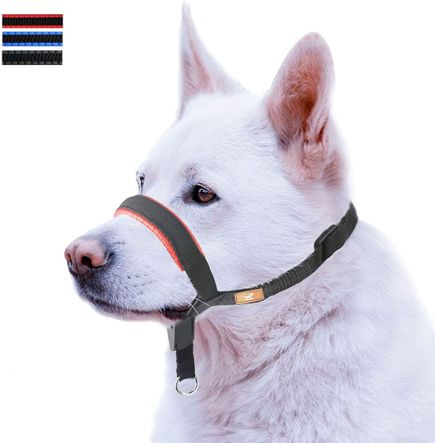 stopping dog from pulling on leash