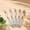 White#7135, variant on Retractable Gel Pens 0.5mm Fine Point – Clear Barrel Neutral Ink, Smooth Writing Press Type Ballpoint Style, White Office Business Stationery Set, 5 Pack