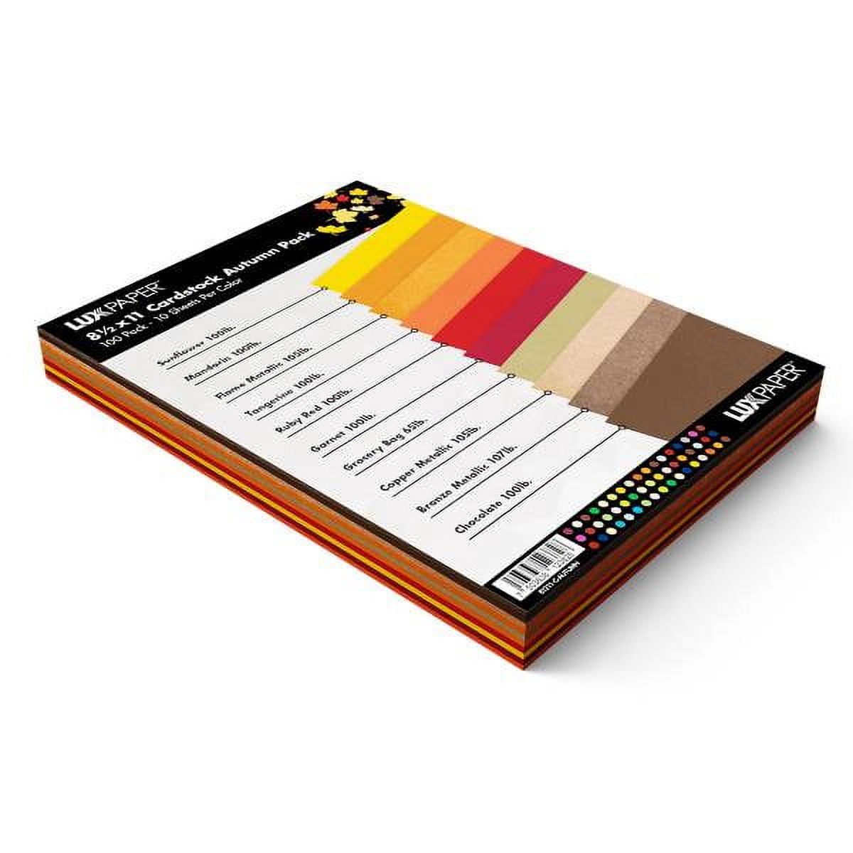 LUXPaper Cardstock, 8.5 x 11, 80lb Assorted, 100/Pack