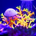 thumbnail image 6 of Soft Silicone Glowing Aquarium Mushroom Coral Aquatic Artificial Coral for Fish Tank Decoration Purple, 6 of 7