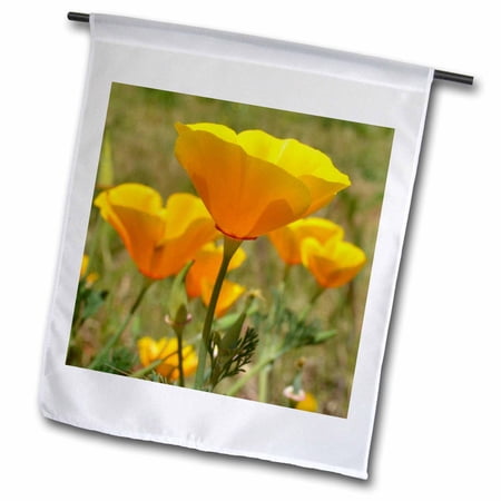3dRose poppies in spring II - Garden Flag  12 by 18-inch