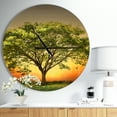 thumbnail image 2 of DesignArt Green Tree against Setting Sun Large Wall Clock, 2 of 2