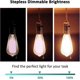 thumbnail image 3 of E27 Vintage Bulb ST64 Dimmable 40W Warm White 2200K,400lm, AC 220V, Retro Incandescent Bulb, E27 Vintage Filament Lamp, Pack of 3, 3 of 5