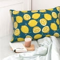 thumbnail image 4 of Sikiie Lemon Pillow Covers, Throw Pillow Case Cushion Covers,Cushion for Bedroom,Couch,Home-14"x20", 4 of 6