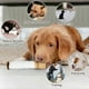 thumbnail image 4 of Interactive Giggles Dog Toys Funny Cigarettes Dog Toy Squeaky Cigar Pet Toys, 4 of 5