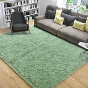 Lochas Fluffy Soft Shag Carpet Rug for Living Room Bedroom Big Area Rugs Floor Mat, 3x5,Green