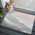 thumbnail image 4 of Grey Gradient Washable Small Entryway Area Rugs 2'x3', Sea Waves Sandy Beach Coastal Scenery Low Pile Throw Rug Non-Slip Sturdy Edge Binding Carpet for Front Door Floor Room Entry, 4 of 9