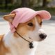 thumbnail image 1 of Gorra para mascota con correa ajustable para barbilla, gorra de béisbol de pana con protección solar para perros pequeños y gatos, accesorio transpirable de verano, 1 of 6