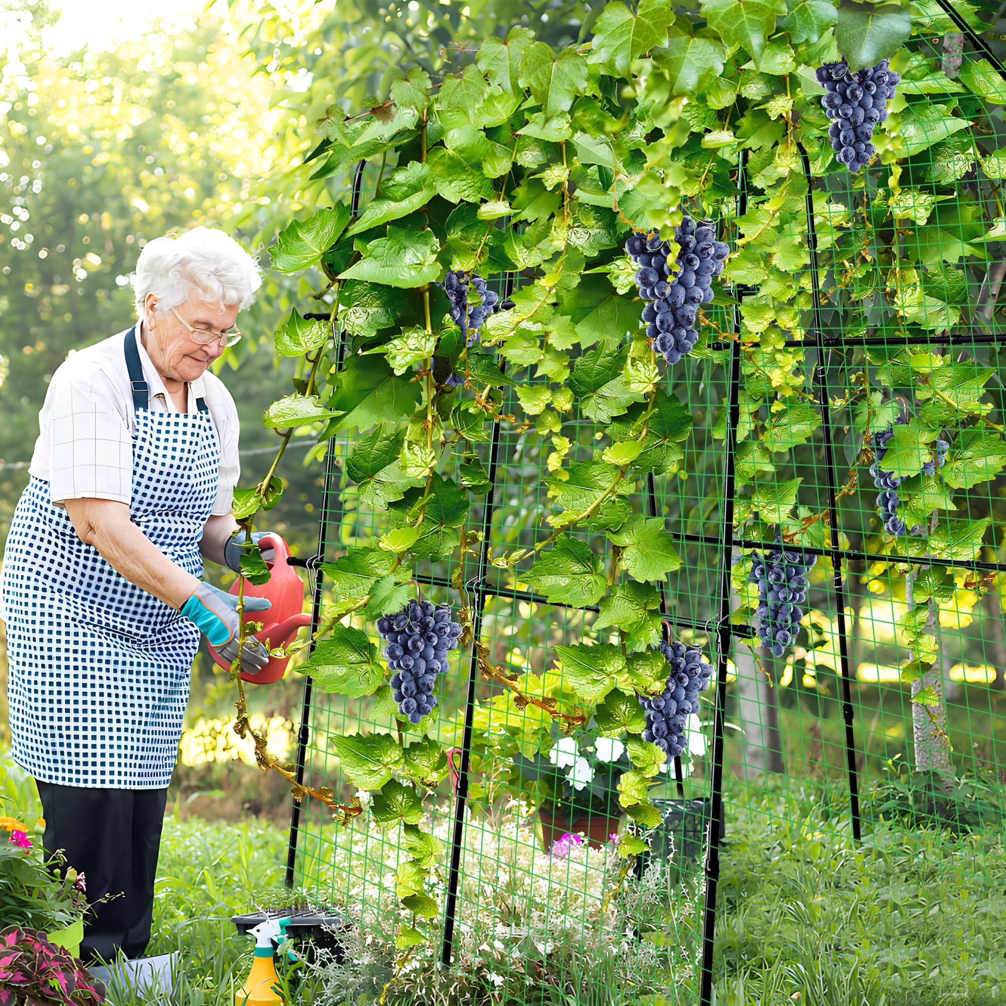 Ebaokuup 87 inch Metal Garden Arch Trellis with Climbing Net for Plants, Flowers and Vegetables