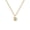Yellow Gold, variant on 14K Gold Plated Dainty Statement Pendant Necklaces for Women - Hammered Circle Beachy Summer Conch Seashell Pendants - Knit Tightened Rope Chain Necklace