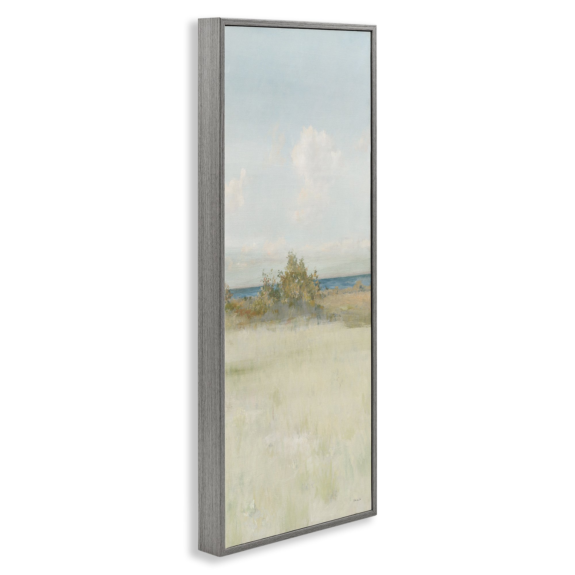 Stupell Industries Vegetation on Beach Landscape Painting Gray Framed Art Print Wall Art, 10 x 24