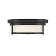 thumbnail image 2 of Trade Winds Lighting 2-Light Ceiling Light In Matte Black, 2 of 7