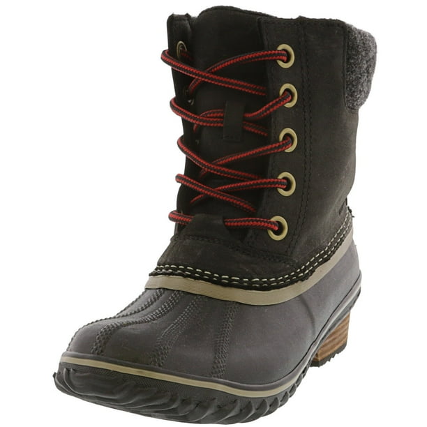 irish setter 2850