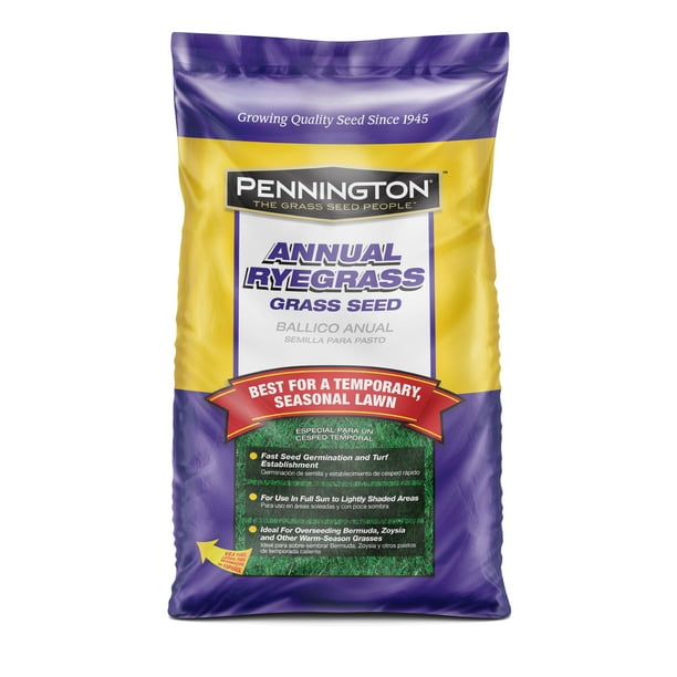 Pennington Annual Ryegrass Grass Seed, for Quick Repair and Winter