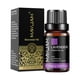 thumbnail image 2 of MAYJAM 10ML Aceite esencial de lavanda, limoncillo, jazmín, vainilla, eucalipto, rosa y limón para humidificador, difusor y fabricación de velas, 2 of 5