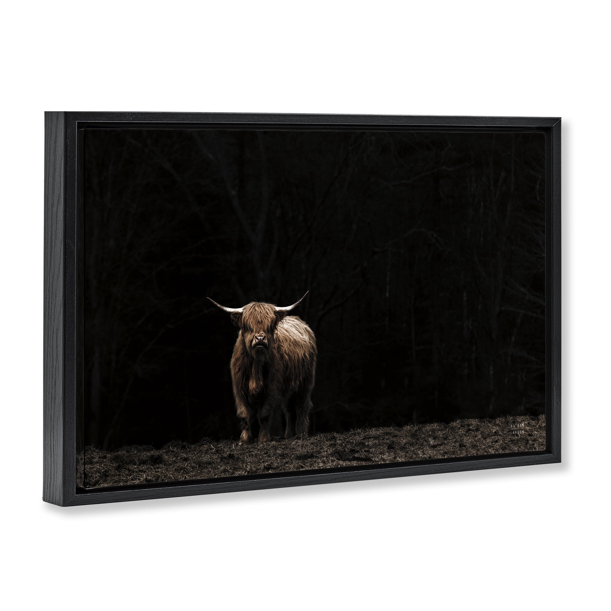 Stupell Industries Dark Contrast Highland Cow Animals Photography Black Floater Framed Canvas Art Print Wall Art, 25 x 17
