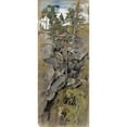 thumbnail image 2 of Eero Järnefelt 8x14 Black Ornate Wood Framed Double Matted Museum Art Print Titled: Rocky Forest, 2 of 5