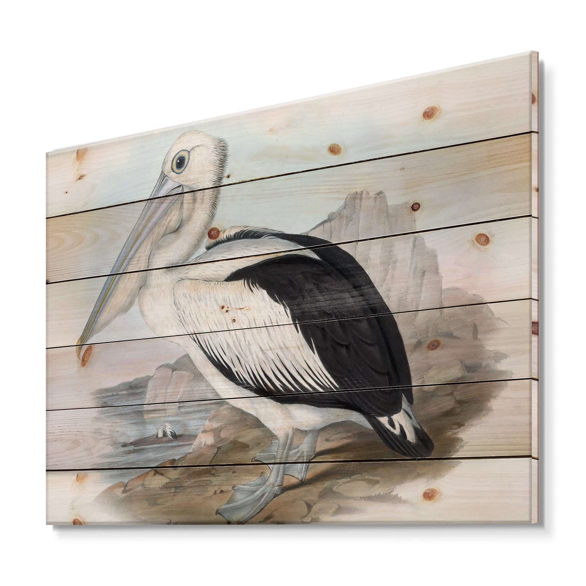 Designart 'Ancient Australian Birds VIII' Traditional Print on Natural Pine Wood