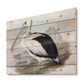 thumbnail image 2 of Designart 'Ancient Australian Birds VIII' Traditional Print on Natural Pine Wood, 2 of 5